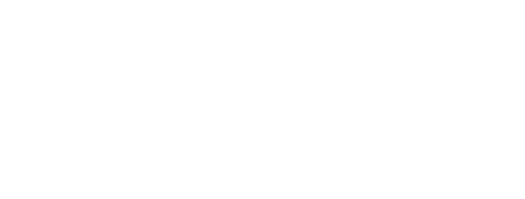 Wexpandis Logo